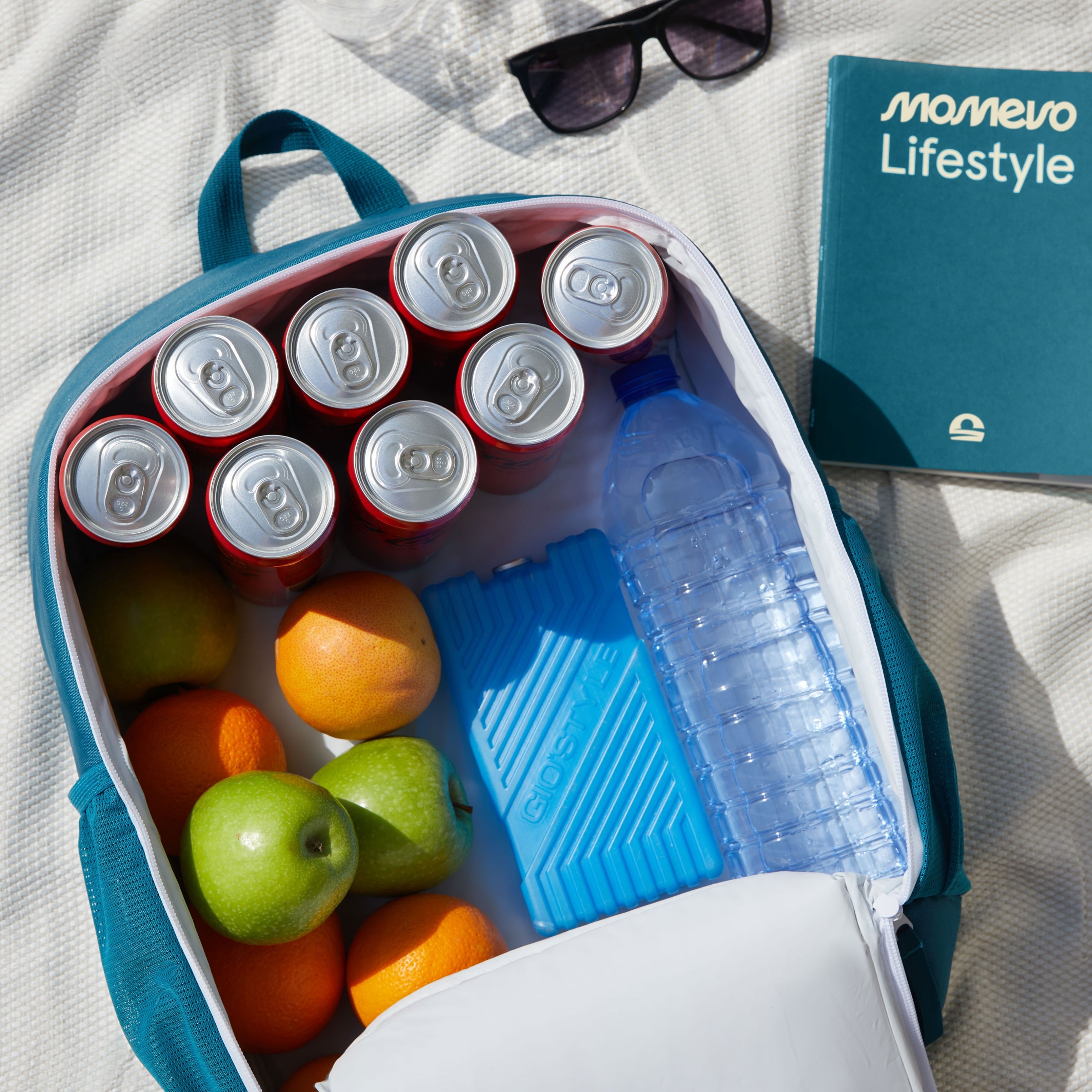 Momevo cooling backpack Chillpack with two ice packs